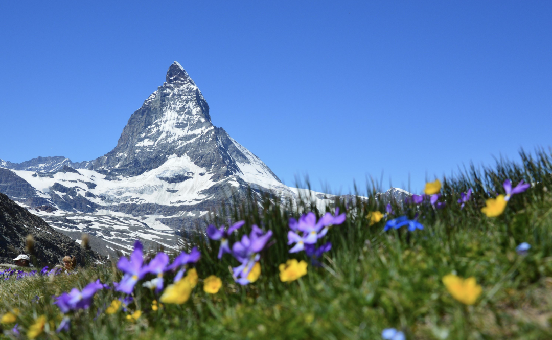 1694089718931810.png 16.png